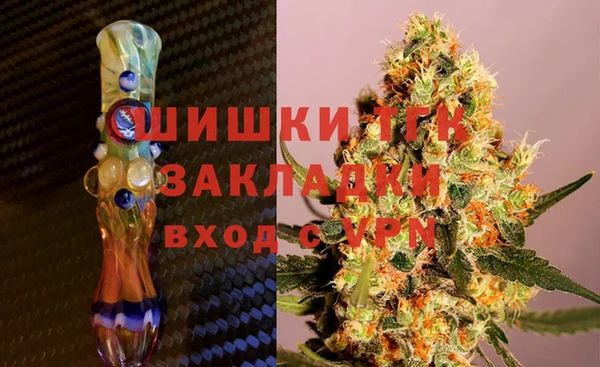 крисы Надым