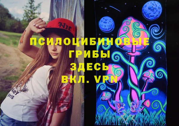 гашик Михайловка