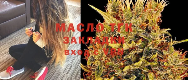 крисы Надым