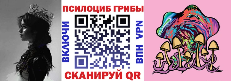 цена   Чекалин  мориарти официальный сайт  Галлюциногенные грибы Psilocybine cubensis 